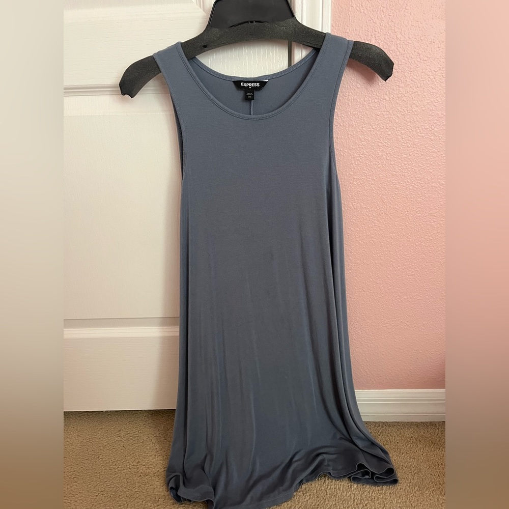 Express Blue Dress